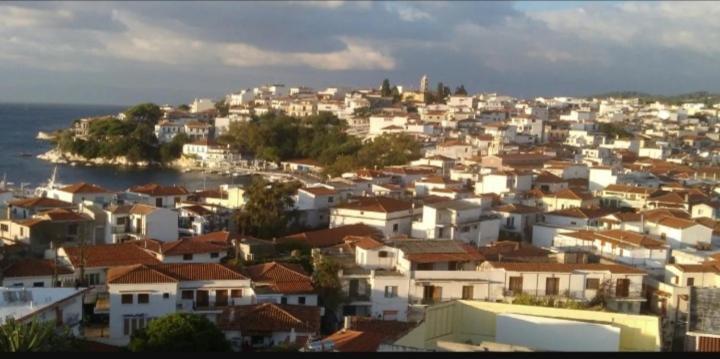 Vaso House Appartement Skiathos-stad